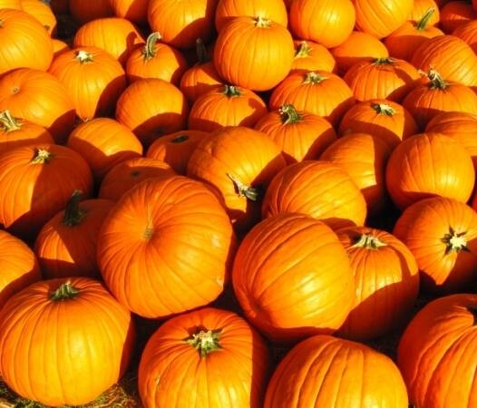 Pumpkin Play Day